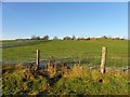 Drumnakilly Townland