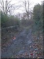 Footpath - Healey Lane