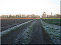 Farm track from Coleby Hall