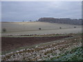 SU1572 : Chalk downland near Rockley by Vieve Forward