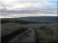 Frosty morning on Smithy Lane