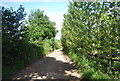 Bridleway to the A281