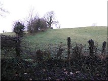 H4066 : Dunnamona Townland by Kenneth  Allen