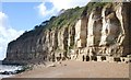 Cliffs, Fairlight Head