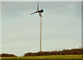 J5264 : Wind turbine, Reagh Island, Strangford Lough by Albert Bridge