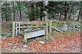 Cattle trough near Faldonside