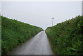 Narrow lane to Merrifield Cross