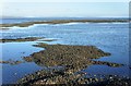 SD2564 : Intertidal zone near Blackamoor Ridge by Stephen Middlemiss