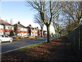 Inglemire Lane, Hull