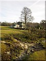 Stream at Middlemoor