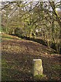 Boundary stone, Middlemoor