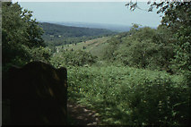 SU8935 : Devil's Punch Bowl, from the memorial stone on Gibbet Hill by Christopher Hilton