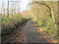 Taff Trail/Celtic Trail between Nantgarw and Rhydyfelin