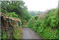 Narrow lane near Hansel