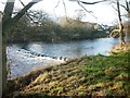 River Wharfe, Ben Rhydding