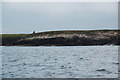 ND3388 : Cliffs near Misbister Geo, Hoy by Ian Balcombe