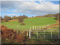 ST1088 : Fields seen from the Taff Trail/Celtic Trail by John Light