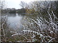 TL4389 : Fishing lake in winter by Richard Humphrey