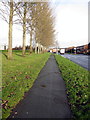 Tree lined path by Shelley Road