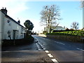 Cottages on the B2146 at Funtington