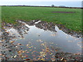 Muddy Field at Square Close