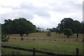 Knowle Park