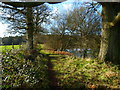 Path by pond at High Stovolds Farm