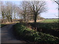 Blackford Lane, Castle Eaton