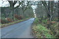 Minor road near St Martins