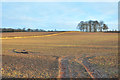 Farmland near St Martins