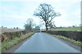 Road from Guildtown to Burrelton