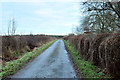 Minor road near Gallowhill