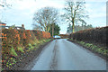 Minor road near Campmuir