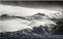 NT9266 : A stormy sea at Yellow Craig by Walter Baxter