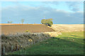 Farmland at East Adamston