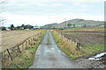 Farm road near Todhills