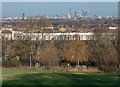 View from Norwood Park (3)