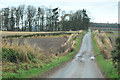 Minor road past Upper Hayston