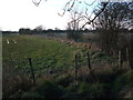 Fields north of Castle Eaton