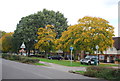 Autumnal trees, Shipbourne Rd