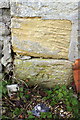 Benchmark on barn at Manor Farm, Binsey