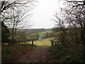 Path from Cow Pasture Wood