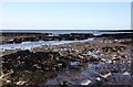 TR3971 : The rocky foreshore in Botany Bay by Steve Daniels