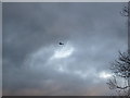 NY7885 : Helicopter heading back to base? by Les Hull