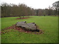 Wooden leaf  "sculpture" in Westgate Fields