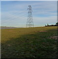 Electricity pylon at the western edge of Cefn Cribwr