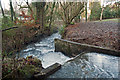 Looking down Venn Stream from a bridge in the woods at Duckslake