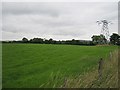G2420 : Field and power line, Belleek by Richard Webb
