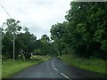 H0258 : Bends in the A46 in the Townland of Drumbadmeen by Eric Jones