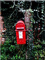 George V postbox near Beard